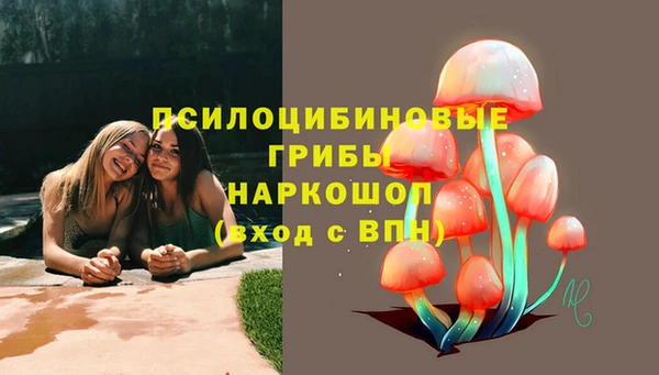 PSILOCYBIN Абинск