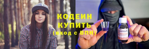 ECSTASY Алзамай