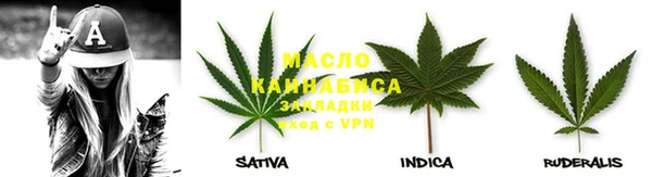 прущие крисы Ельня