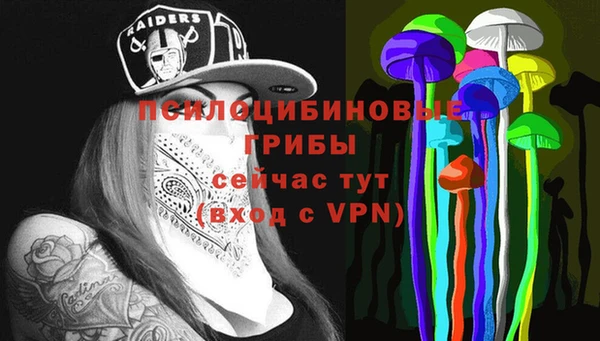 PSILOCYBIN Абаза